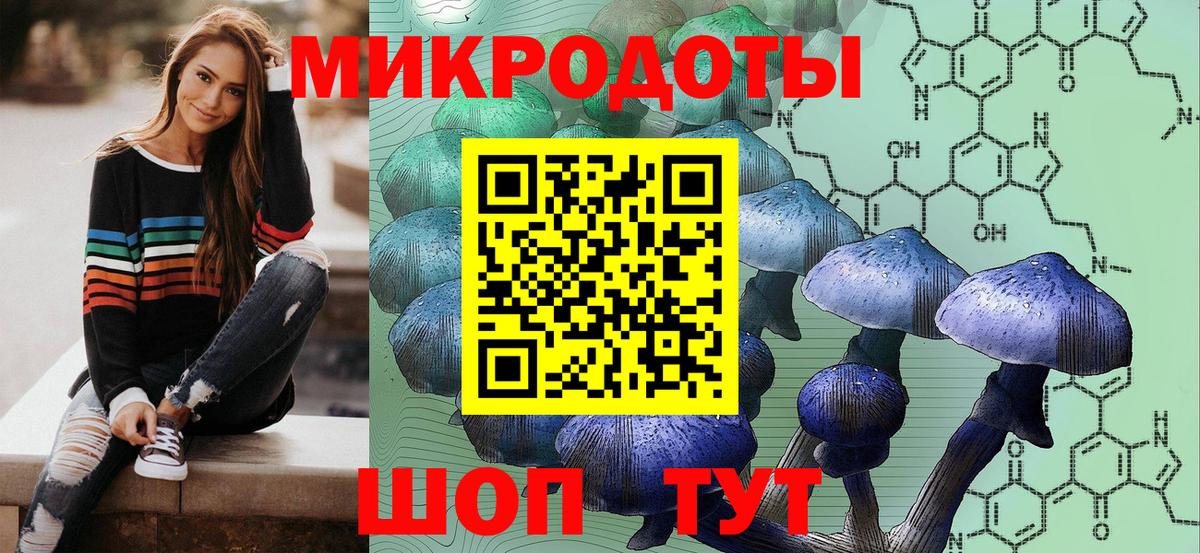 Псилоцибиновые грибы ЛСД Брянск