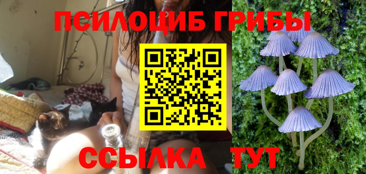 Псилоцибиновые грибы Cubensis  Вход с VPN  Брянск 